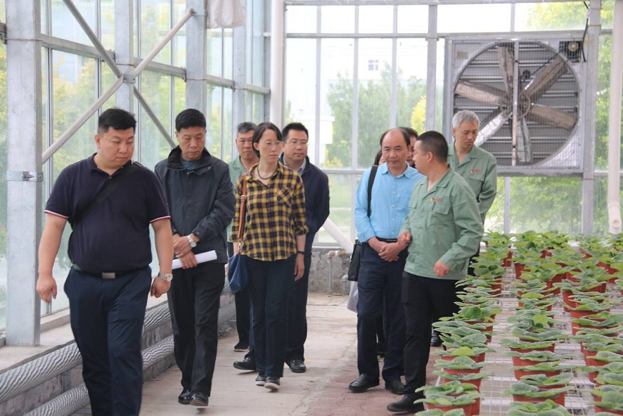 1560925432846736.png image.png