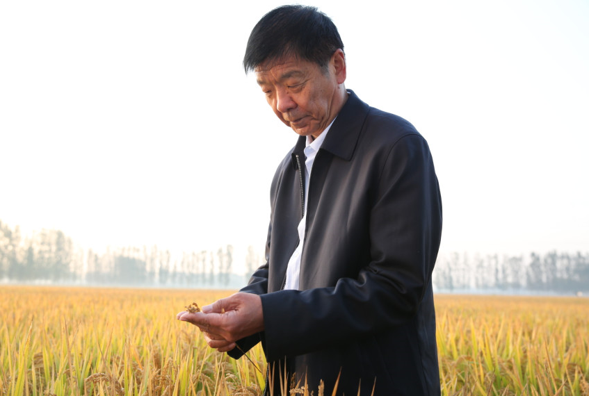 1564705908985341.png image.png