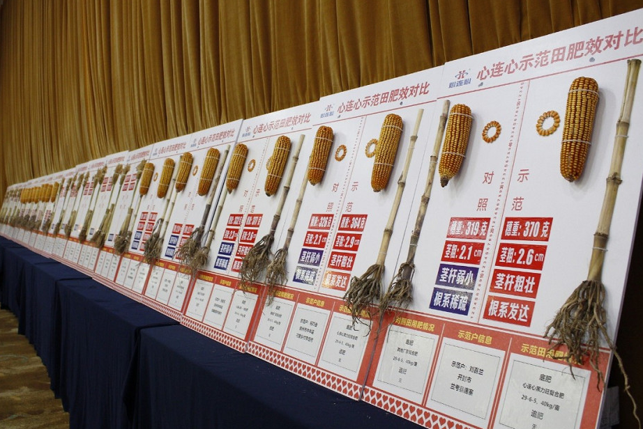 1573437556120970.png image.png