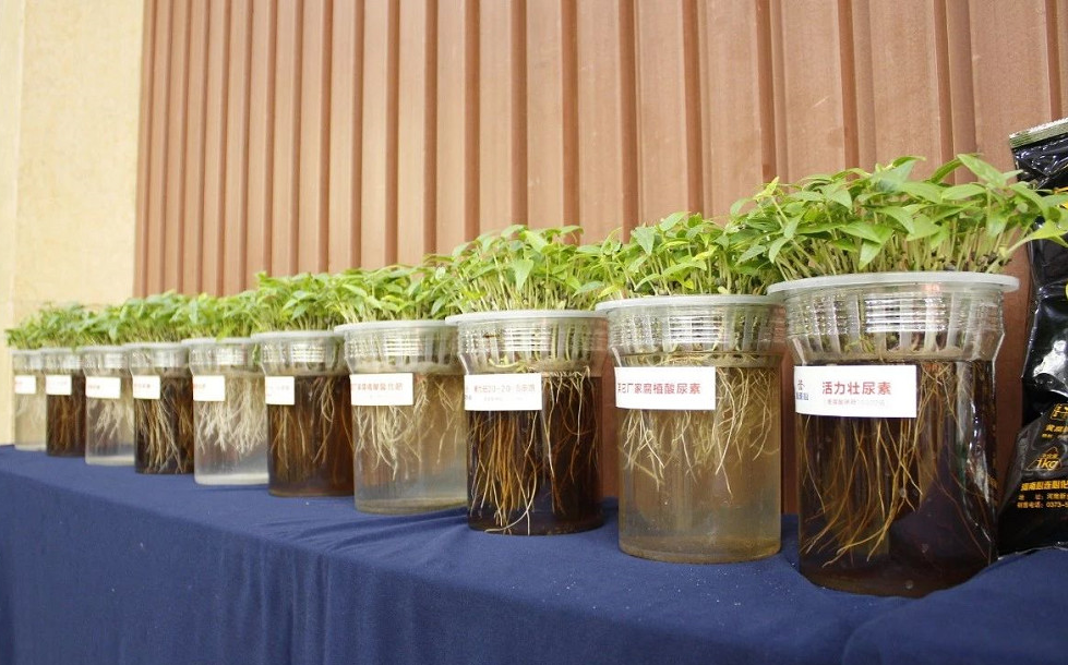 1573437576441463.png image.png