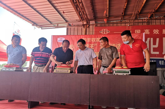 1595318001917267.png image.png