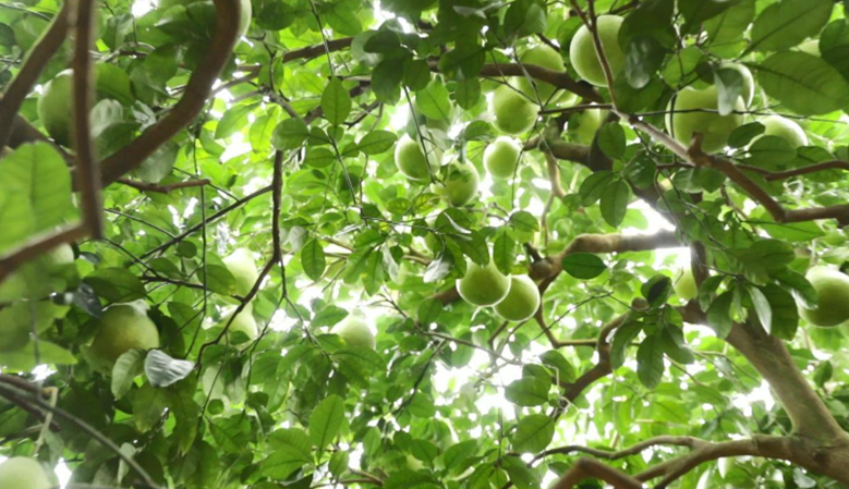 1602835986185465.png image.png