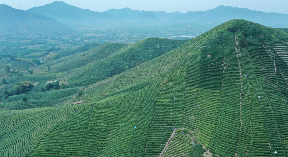 1686273148234537.png image.png