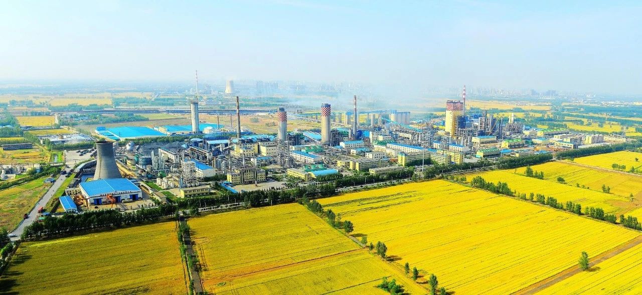 【心連心·瞬間】心連心化學工業(yè)集團建廠50周年回眸（四）