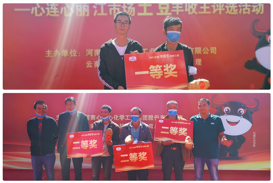 喜迎豐收，薯王爭霸！——心連心麗江市場土豆豐收王評選活動成功舉行